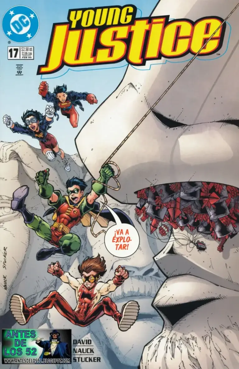 Young Justice #17