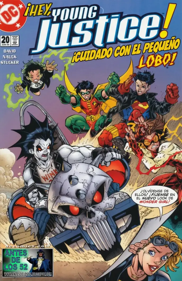 Young Justice #20