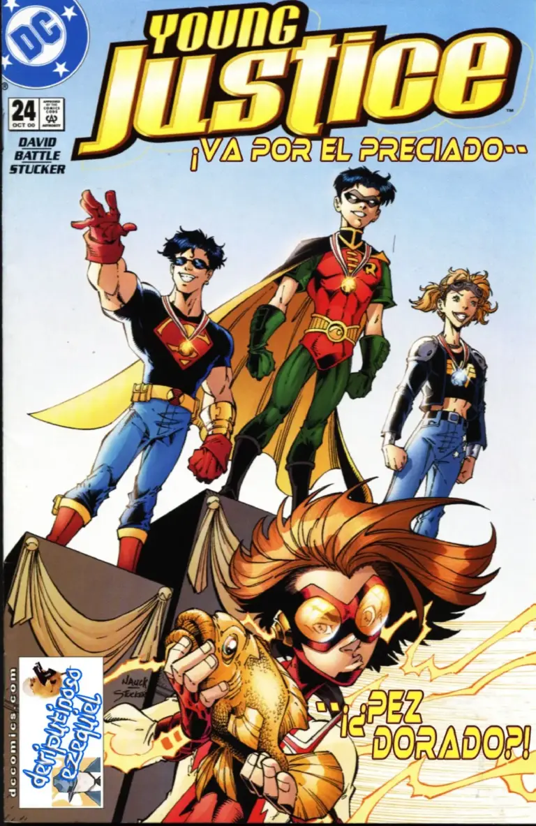 Young Justice #24