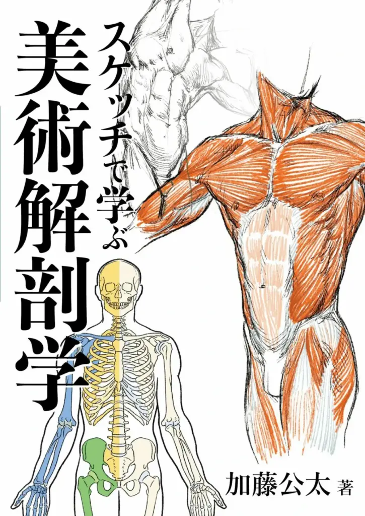 スケッチで学ぶ美術解剖学