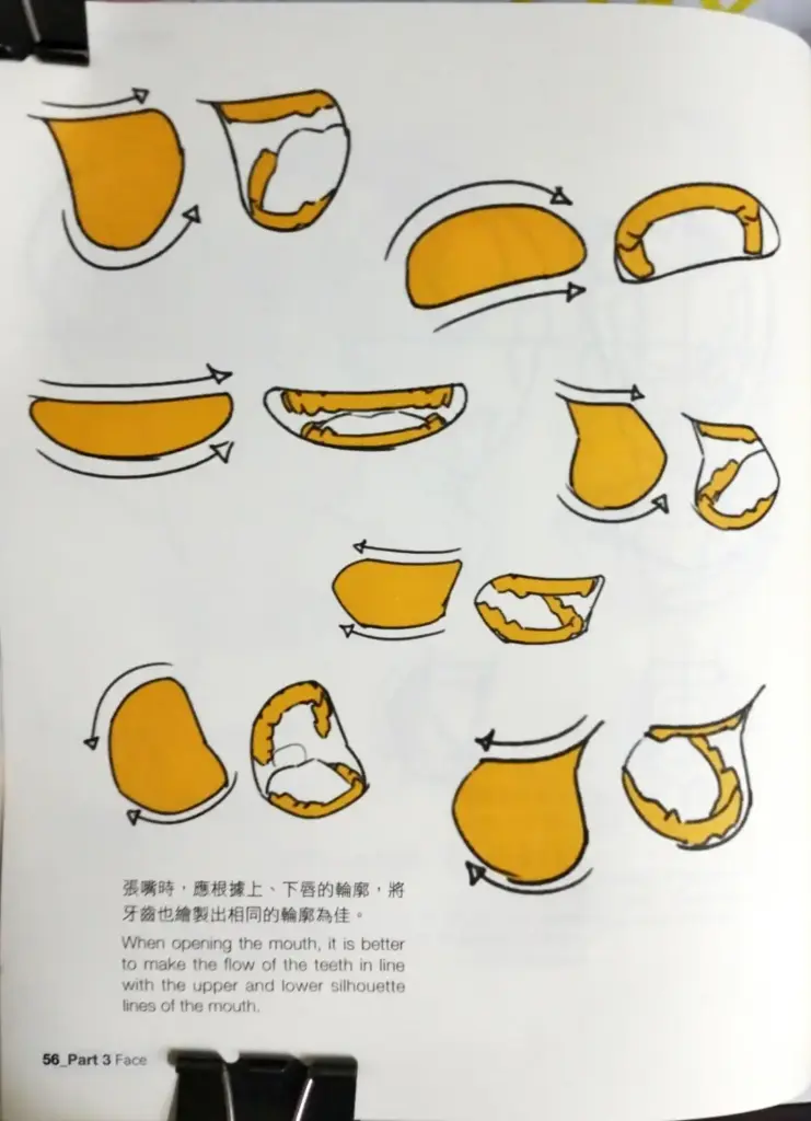 張嘴時，應根據上、下唇的輪廓，將牙齒也繪製出相同的輪廓為佳