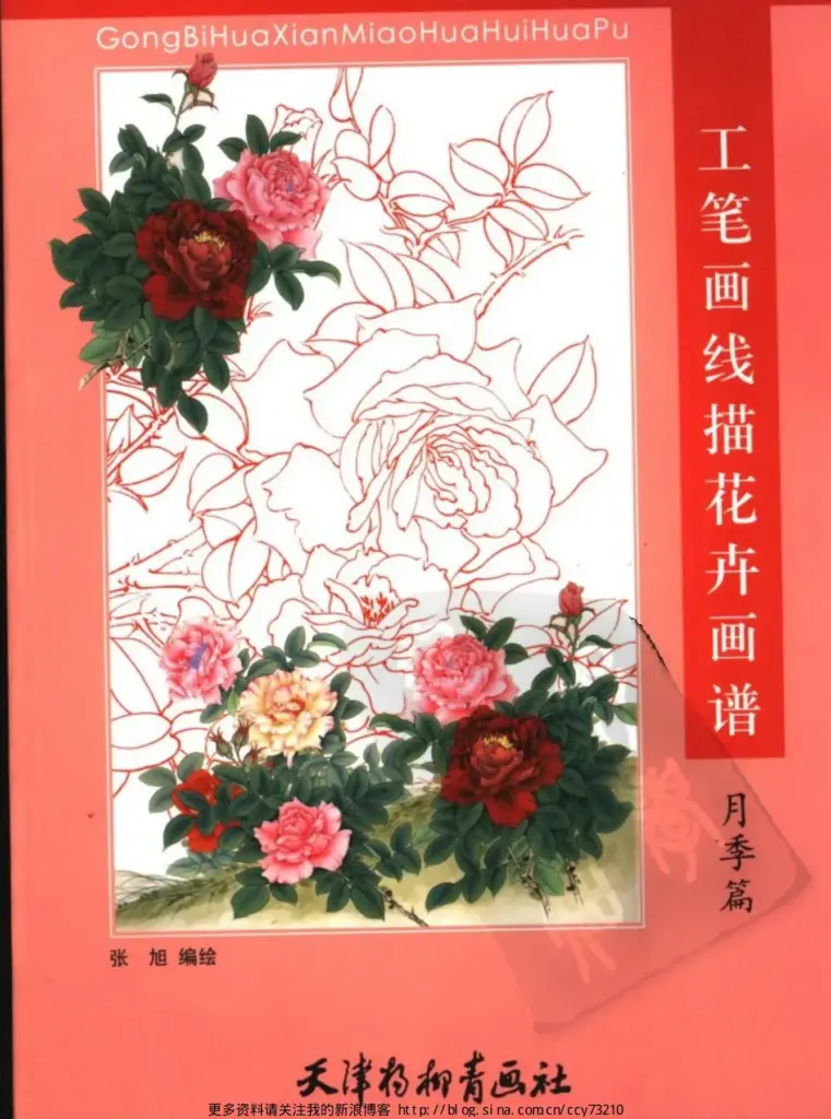 工笔画线描花卉画谱 月季篇