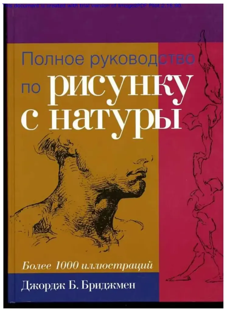 Полное руководство по рисунку