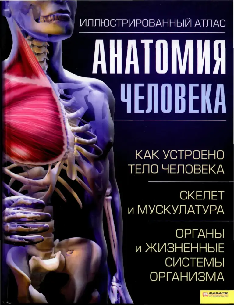 Анатомия человека. Иллюстрированный атлас