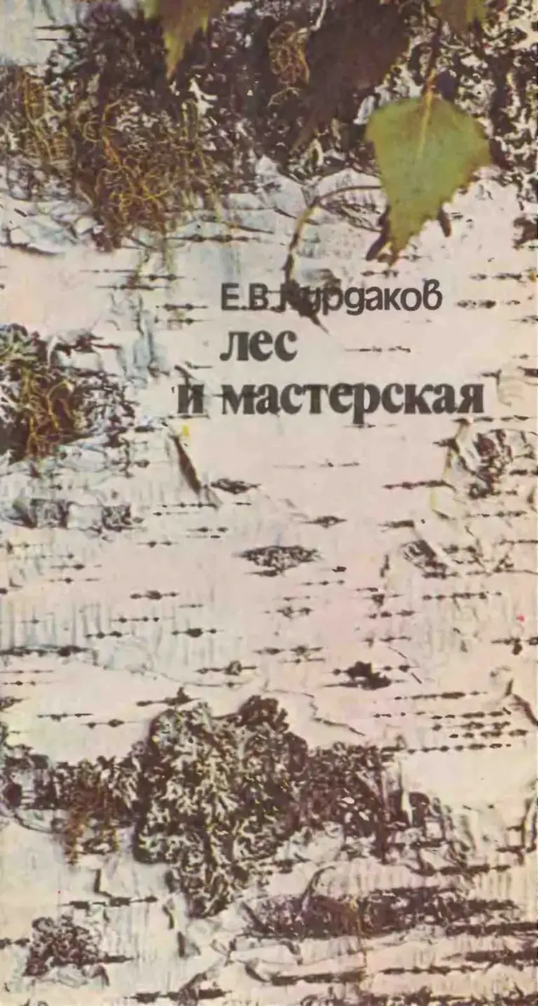 Лес и мастерская
