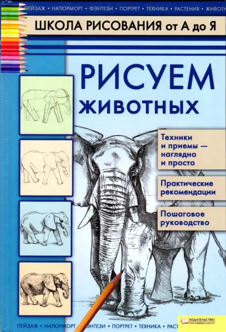 Рисуем животных