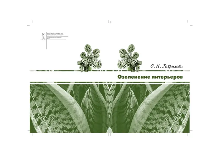 Озеленение Интерьеров