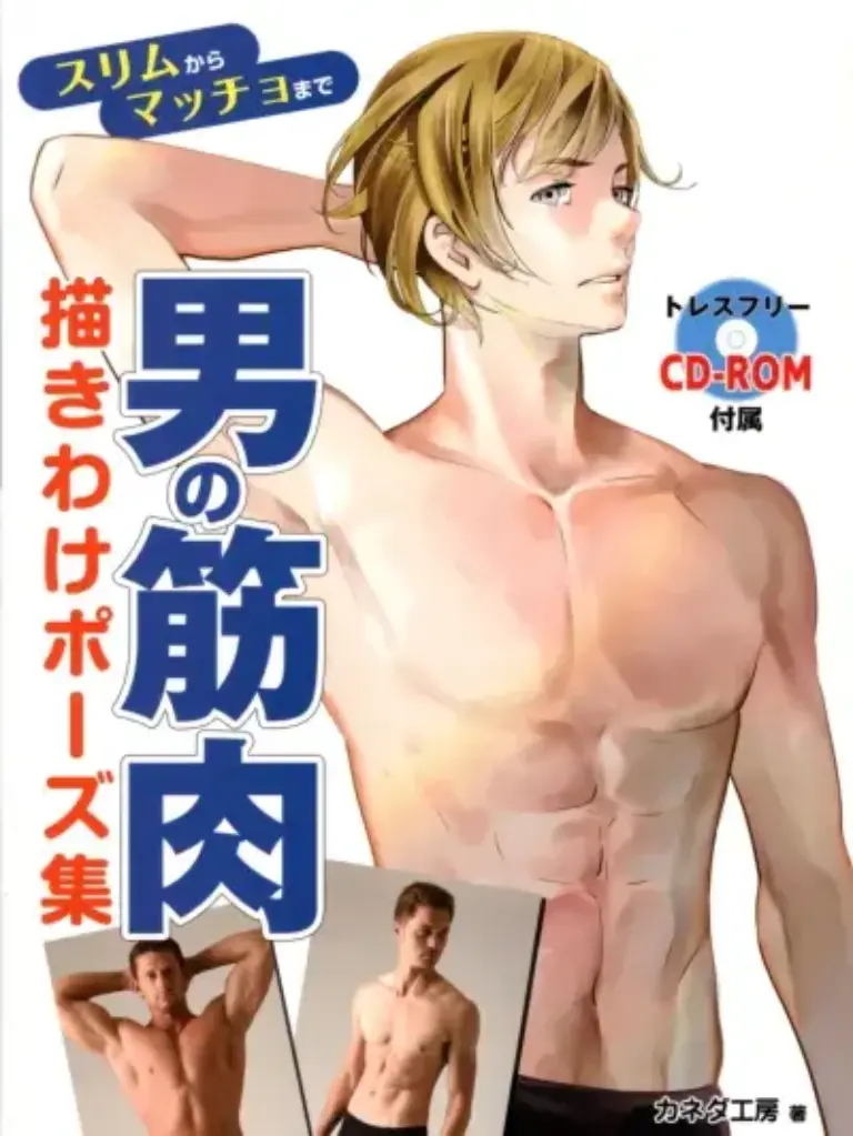男の筋肉描きわけポーズ集 スリムからマッチョまで