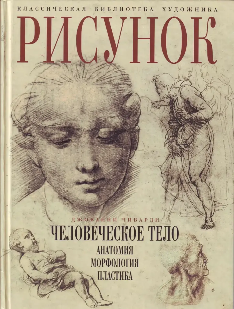 Рисунок Джованни Чиварди. Человеческое тело