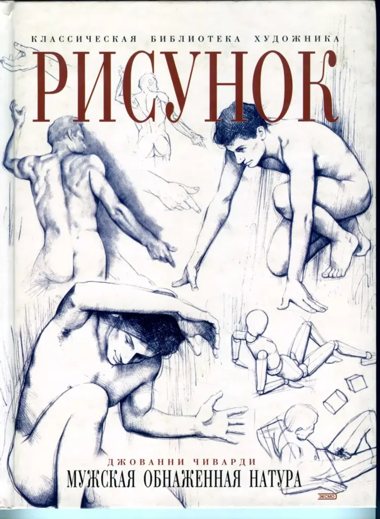 Рисунок. Человеческое тело: анатомия, морфология, пластика