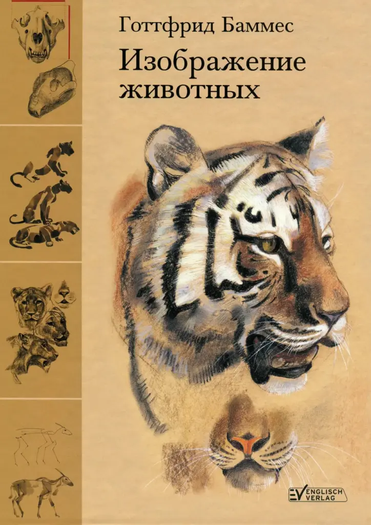 Изображение животных