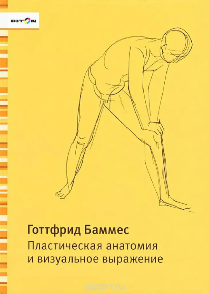 Пластическая анатомия и визуальное выражение