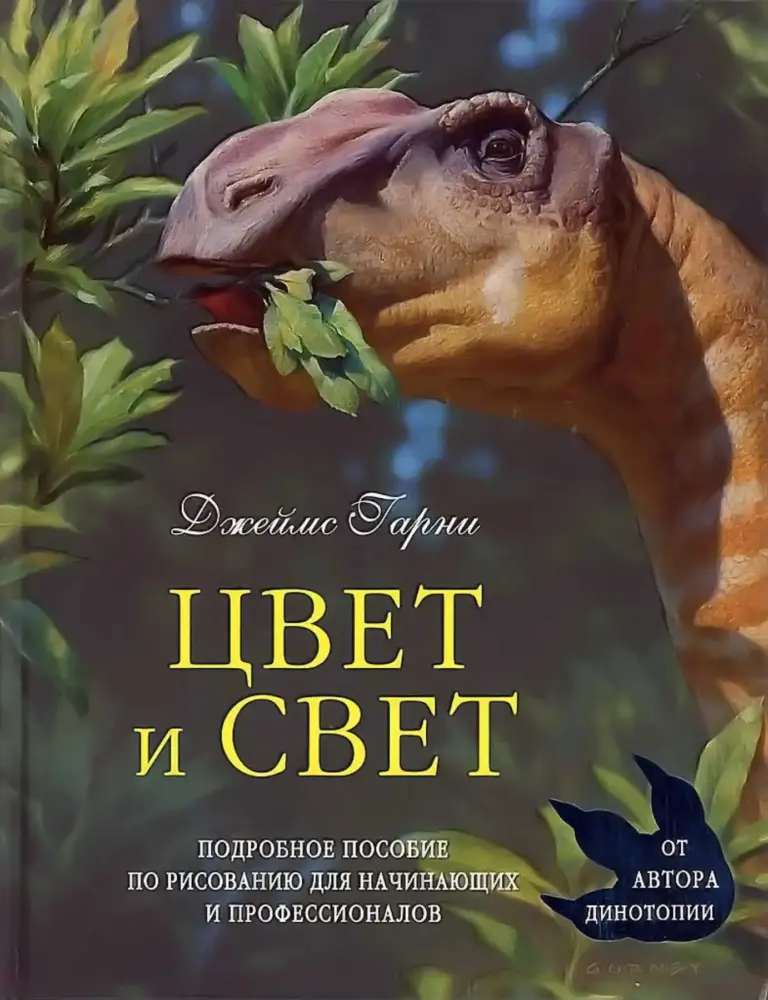 Цвет И Свет
