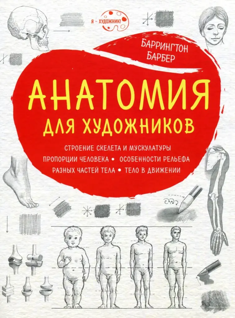 Анатомия для художников