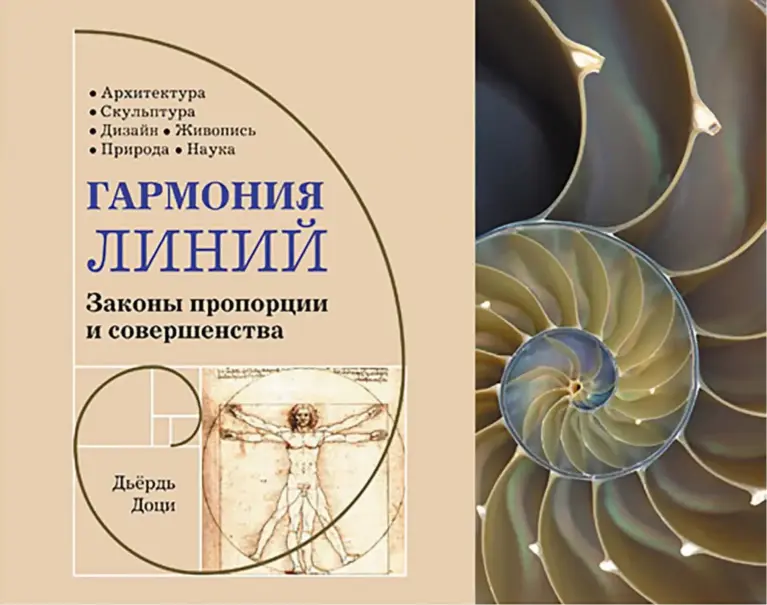 Гармония линий: Законы пропорции и совершенства