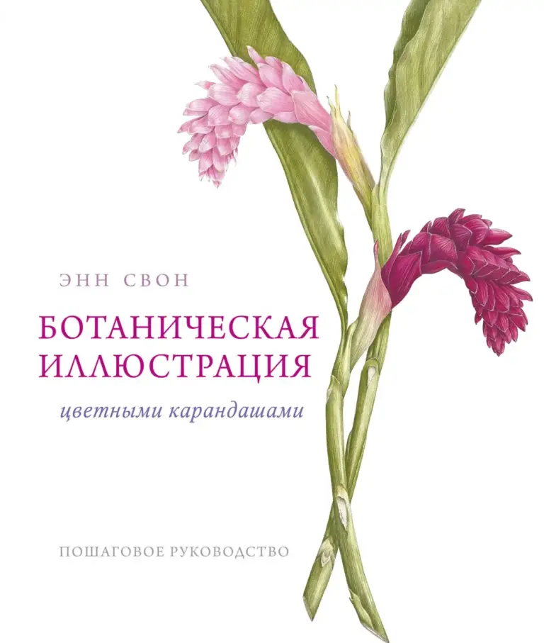 Ботаническая иллюстрация цветными карандашами: пошаговое руководство