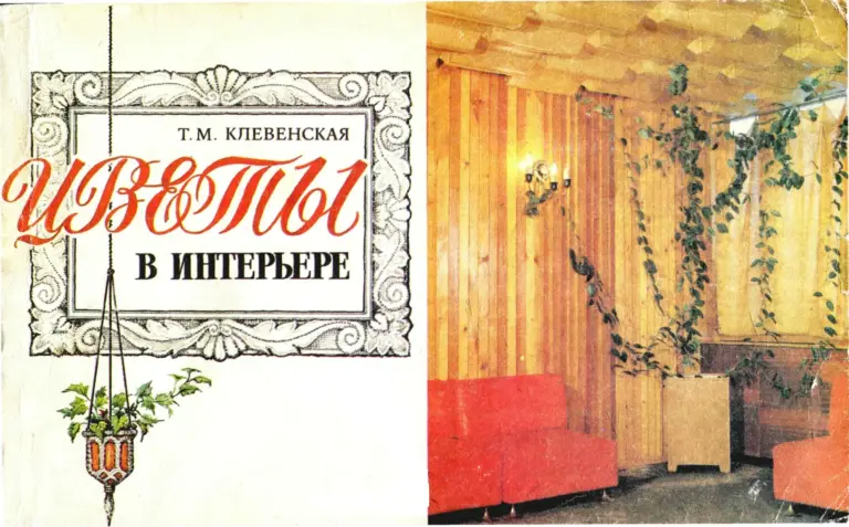 Цветы В Интерьере