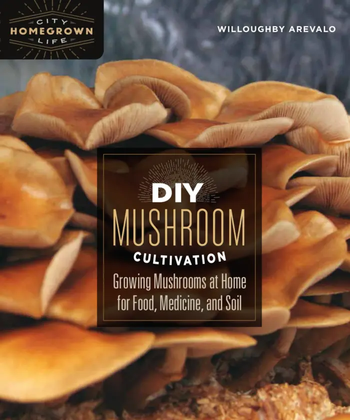 DIY Mushroom Cultivation: Growing Mushrooms at Home for Food, Medicine, and Soil