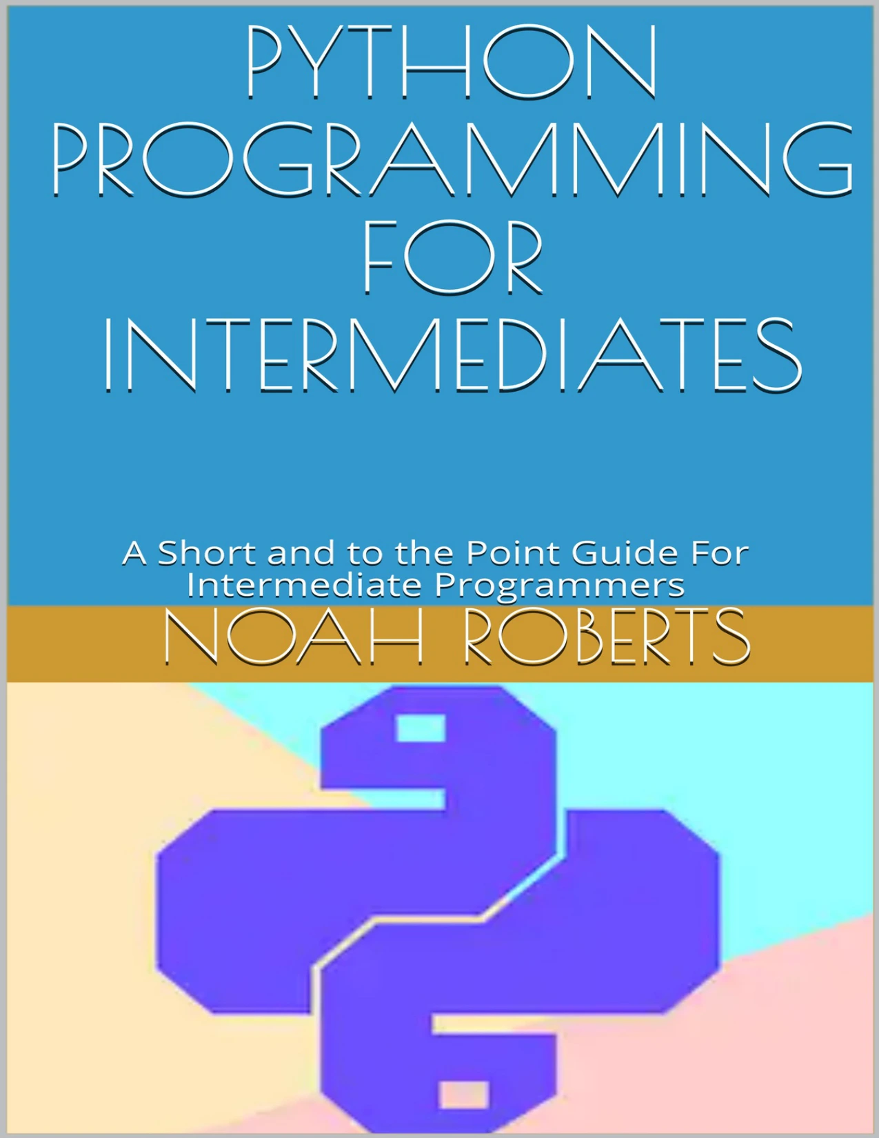 cover of python programming for intermediates: a short and to the point guide for intermediate programmers