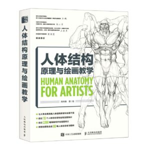 人体结构原理与绘画教学
