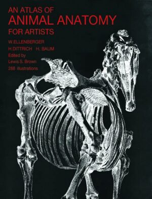 An Atlas of Animal Anatomy for Artists (Dover Anatomy for Artists)