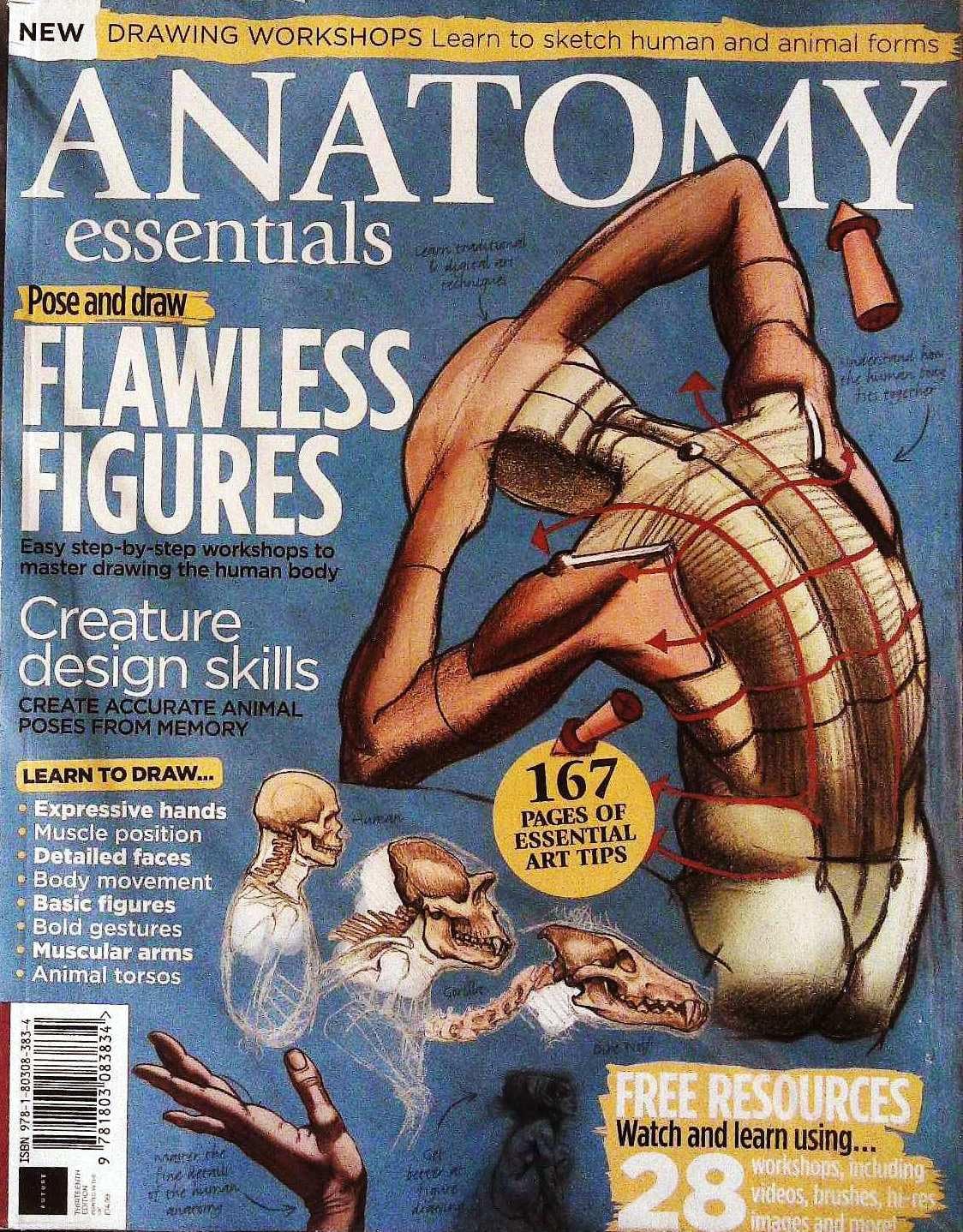 Anatomy Essentials: Drawing Workshops, Flawless Figures, Creature Design Skills