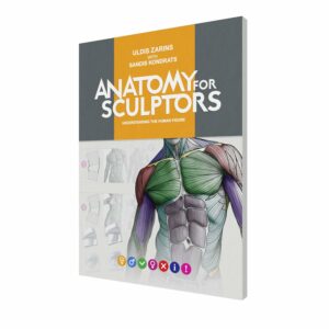 Anatomy For Sculptors, Understanding the Human Figure