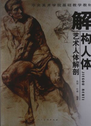 中央美术学院基础教学教材:解构人体:艺术人体解剖