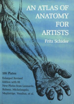An atlas of anatomy for artists