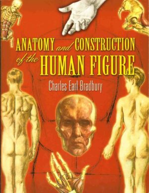 Anatomy and Construction of the Human Figure (Dover Art Instruction)