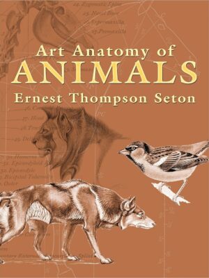 Art Anatomy of Animals (Dover Anatomy for Artists)