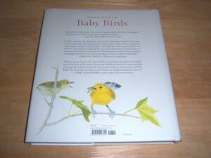 Baby Birds: An Artist Looks into the Nest