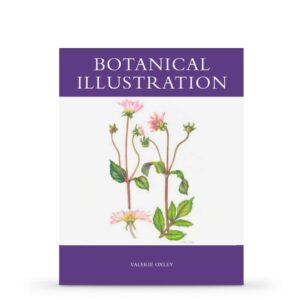 Botanical Illustration