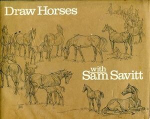 Draw Horses with Sam Savitt