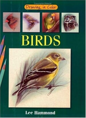 Drawing in Color: Birds