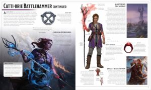 Dungeons and Dragons The Legend of Drizzt Visual Dictionary (Dungeons & Dragons)