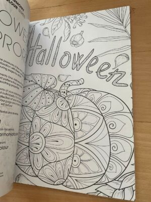 LIKE NEW - THE HARMONY OF COLOUR SERIES. HALLOWEEN HORRORS. ADULT COLURING.
