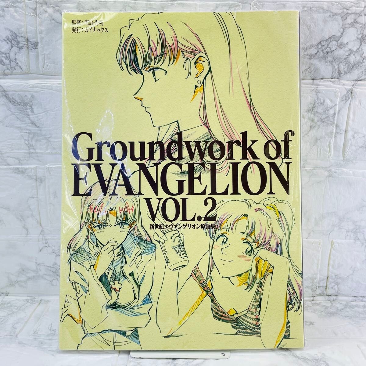 Neon Genesis Evangelion Groundwork of Evangelion Vol.2 Illustration Book Used