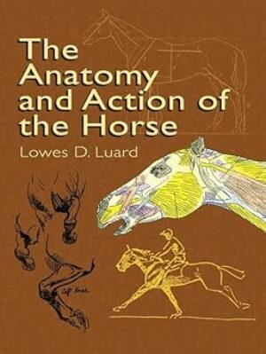 The Anatomy and Action of the Horse (Dover Anatomy for Artists)