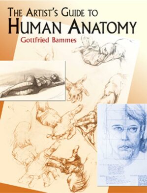 The Artist's Guide to Human Anatomy (Dover Anatomy for Artists)